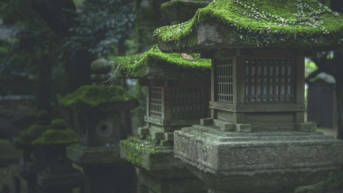 苔むした石灯籠が並ぶ寺社の参道
