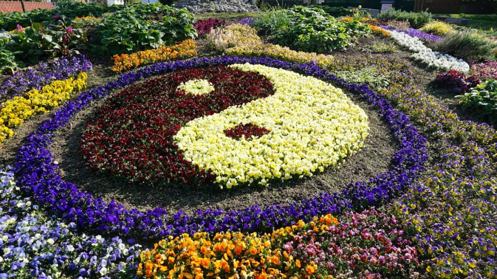 色とりどりの花で描かれた太極図の花壇
