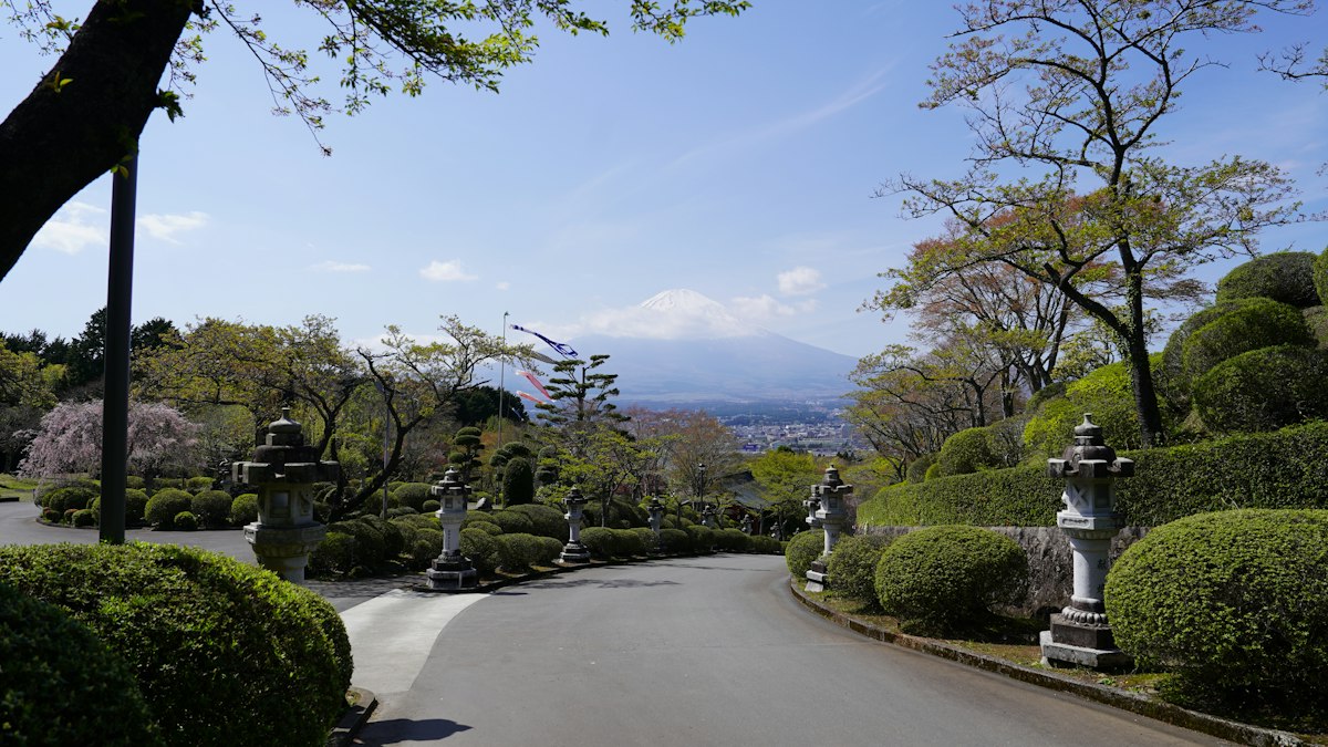 石灯籠が並ぶ遠くの山へ続く道