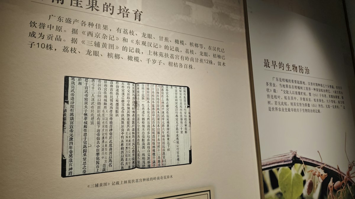 漢文が並ぶ古い書物の展示