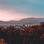 夕暮れの空と紅葉に囲まれた五重塔