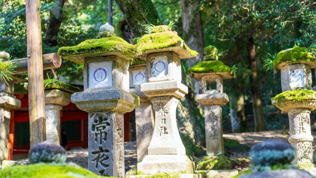 苔むした寺社の石灯籠の列