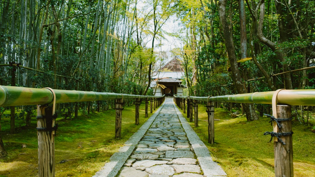 竹林の間を寺へ続く石畳の参道