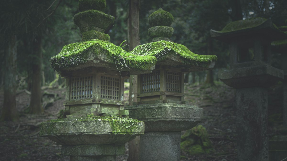 苔むした寺の石灯籠