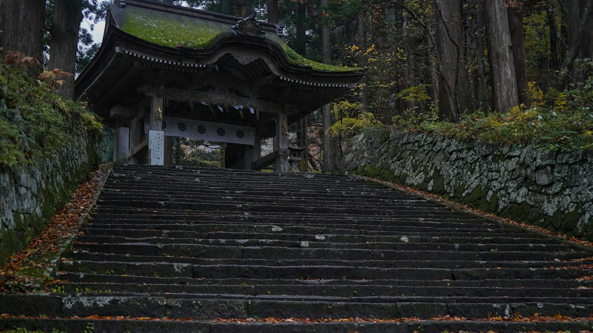 落ち葉の積もる苔むした石段の先にある山門