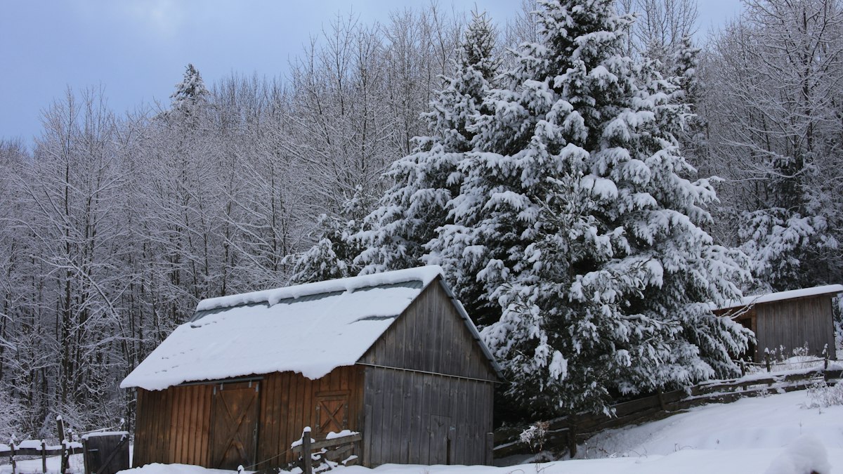 雪に覆われた古い木の小屋
