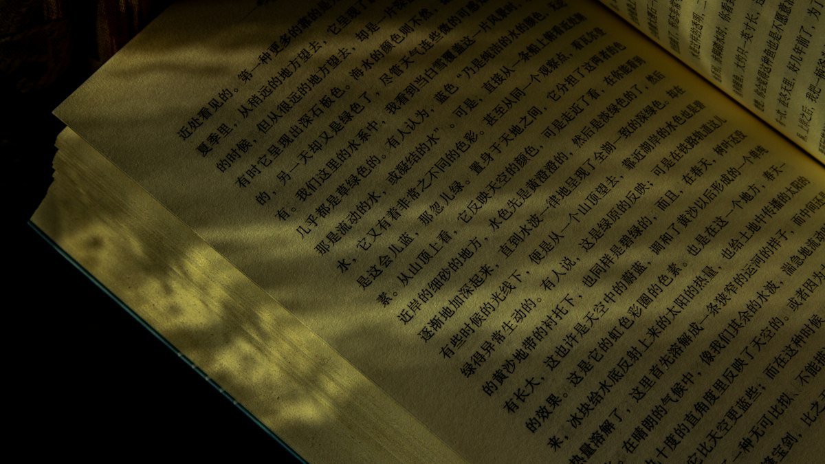 光の当たる縦書きの漢文の書物