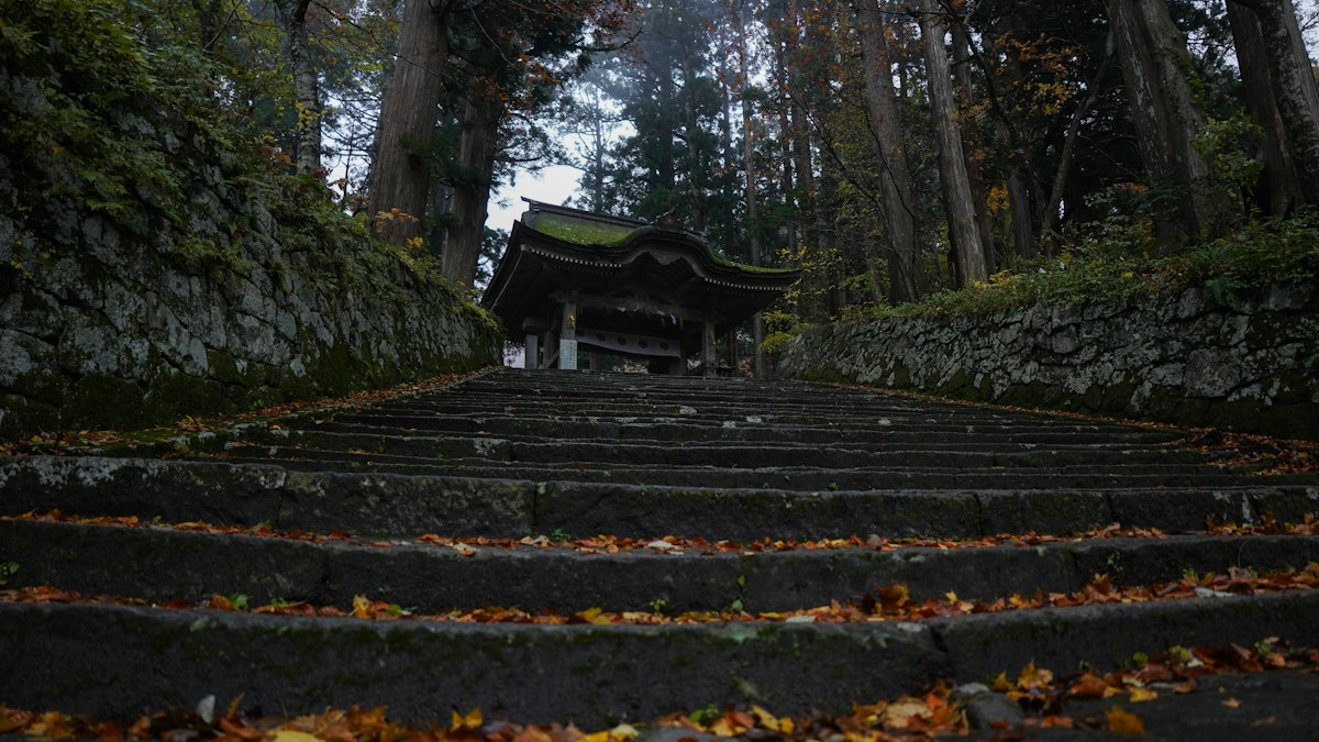 森の奥の社へ続く石段