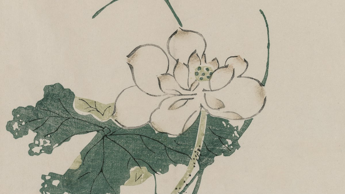 白い蓮を描いた古い東洋画