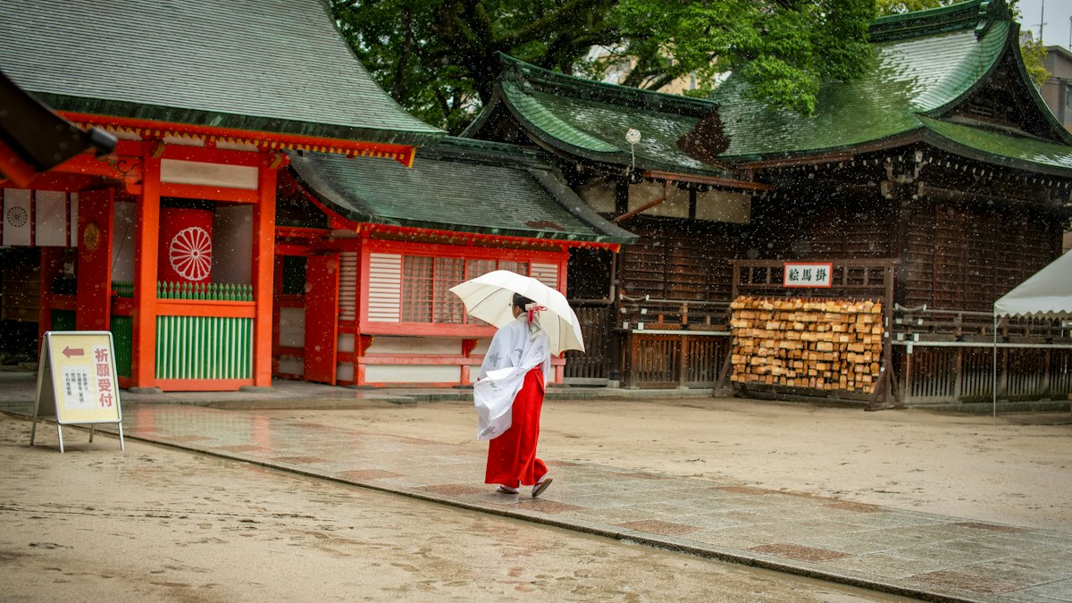 雨の神社の境内を傘をさして歩く人