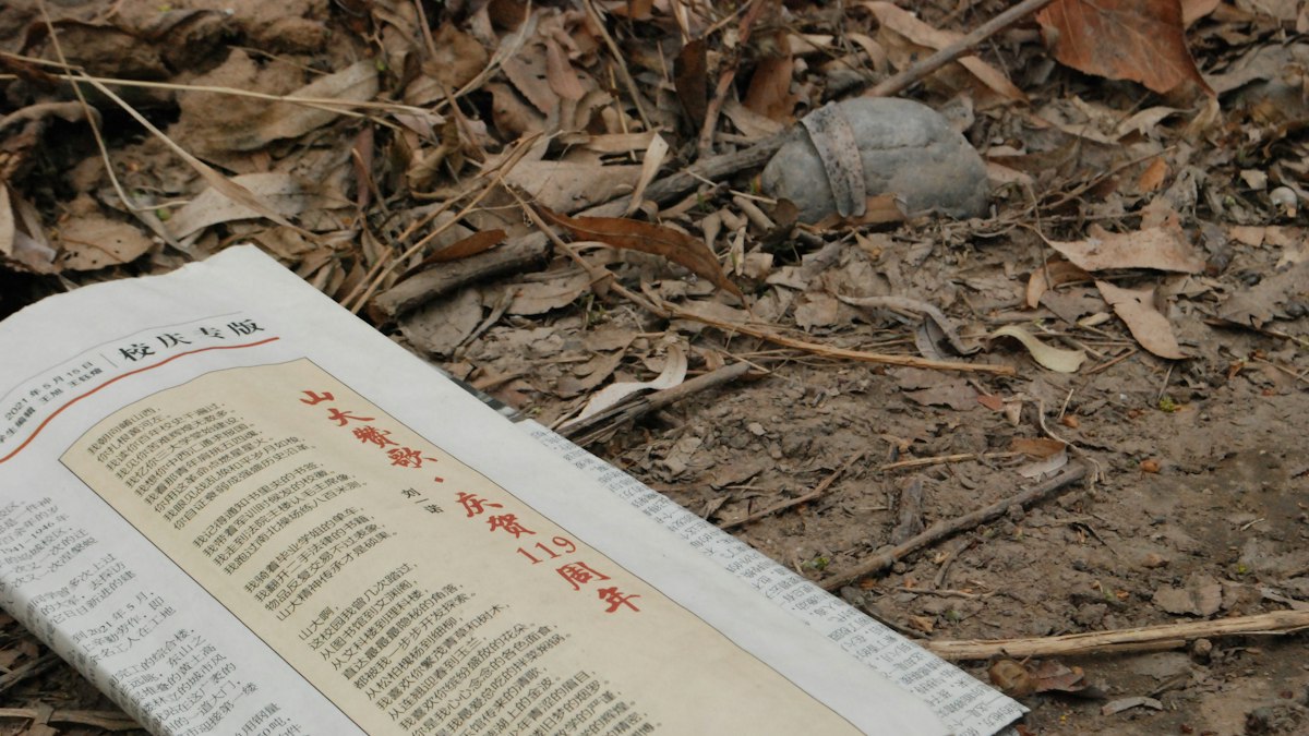 落ち葉の上に置かれた漢字の書面