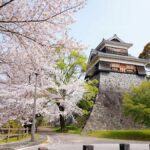 桜の咲く春に、高い石垣の上に建つ城
