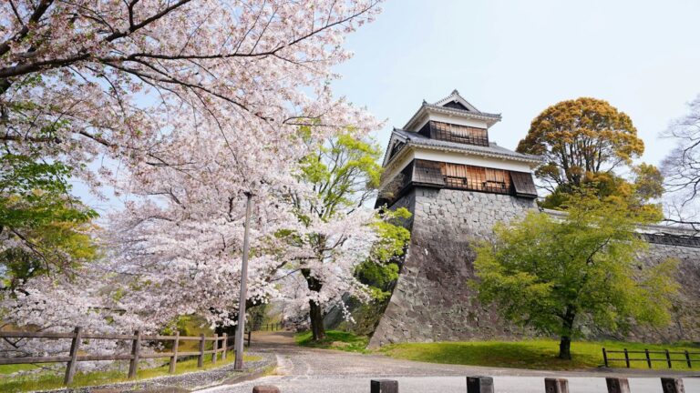 桜の咲く春に、高い石垣の上に建つ城
