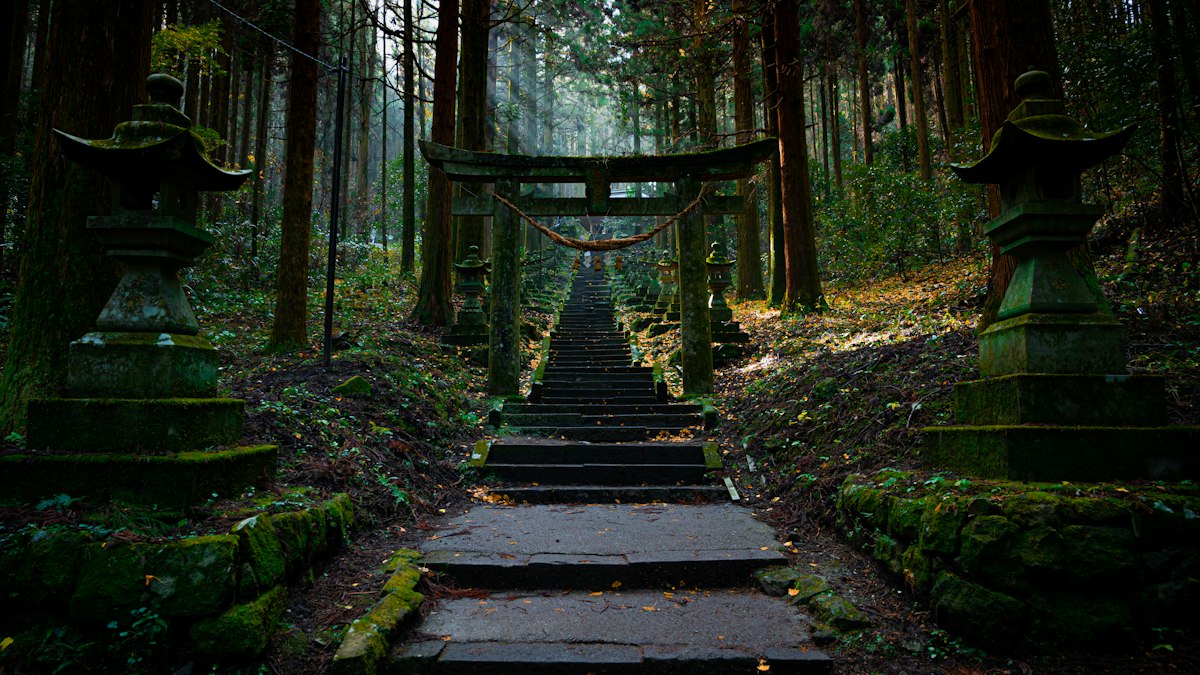 苔むした森の石段と鳥居