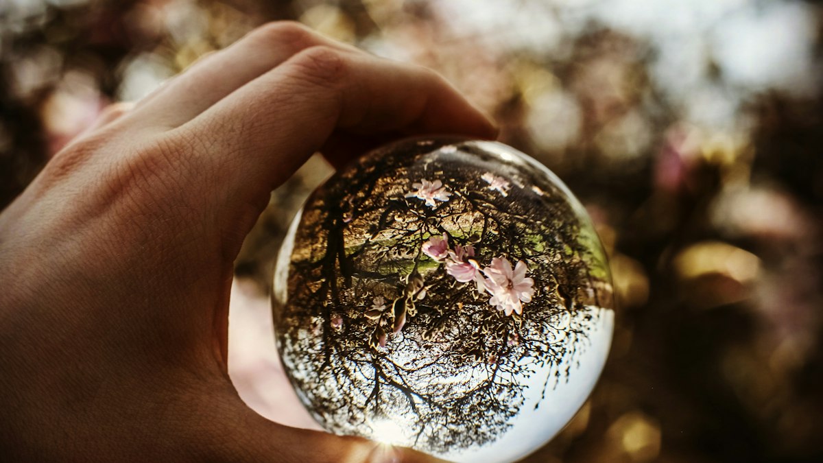 手に持った水晶玉に桜の木が映り込む様子