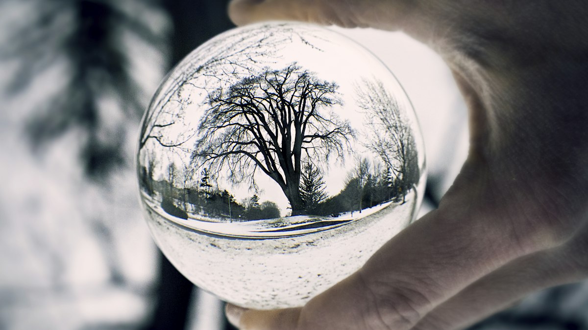 手に持つ水晶玉に映る冬の大きな木