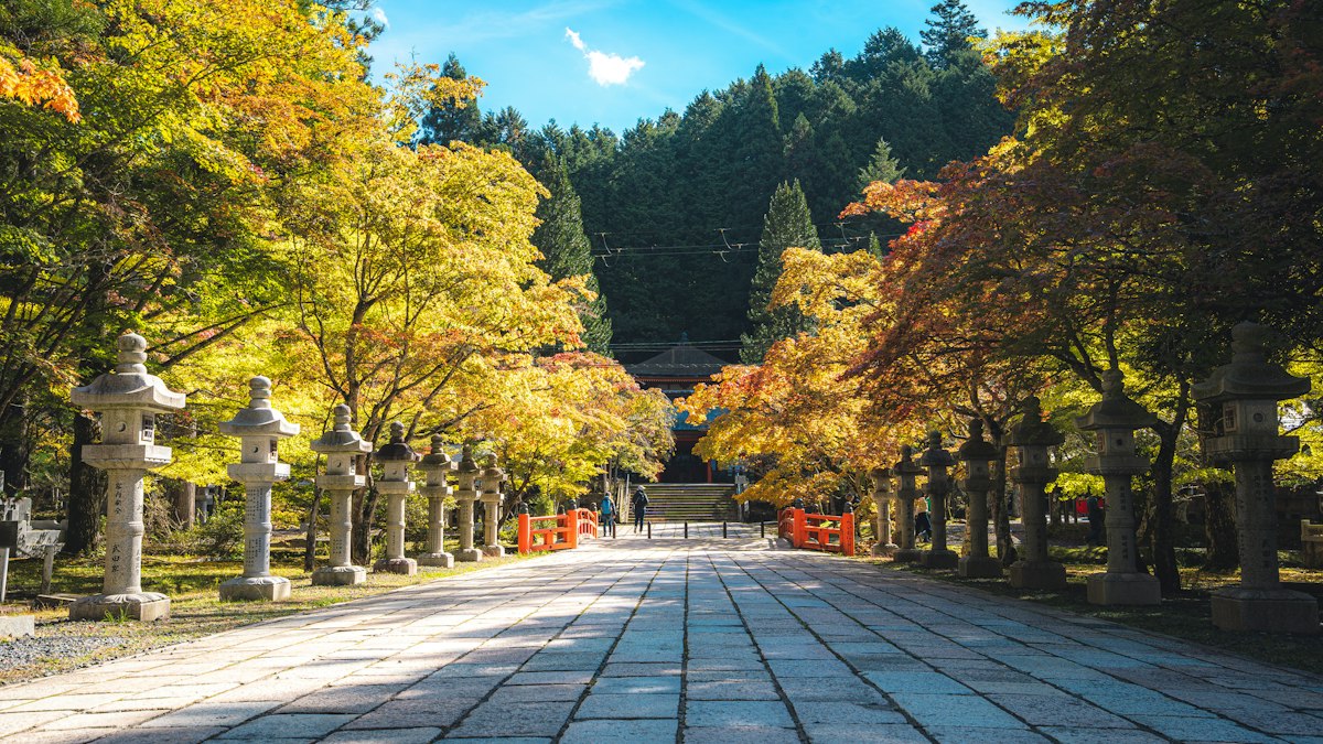 紅葉の中に石灯籠が並ぶ寺の参道