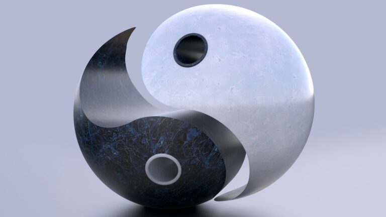 白と黒の石を組み合わせた立体の太極図