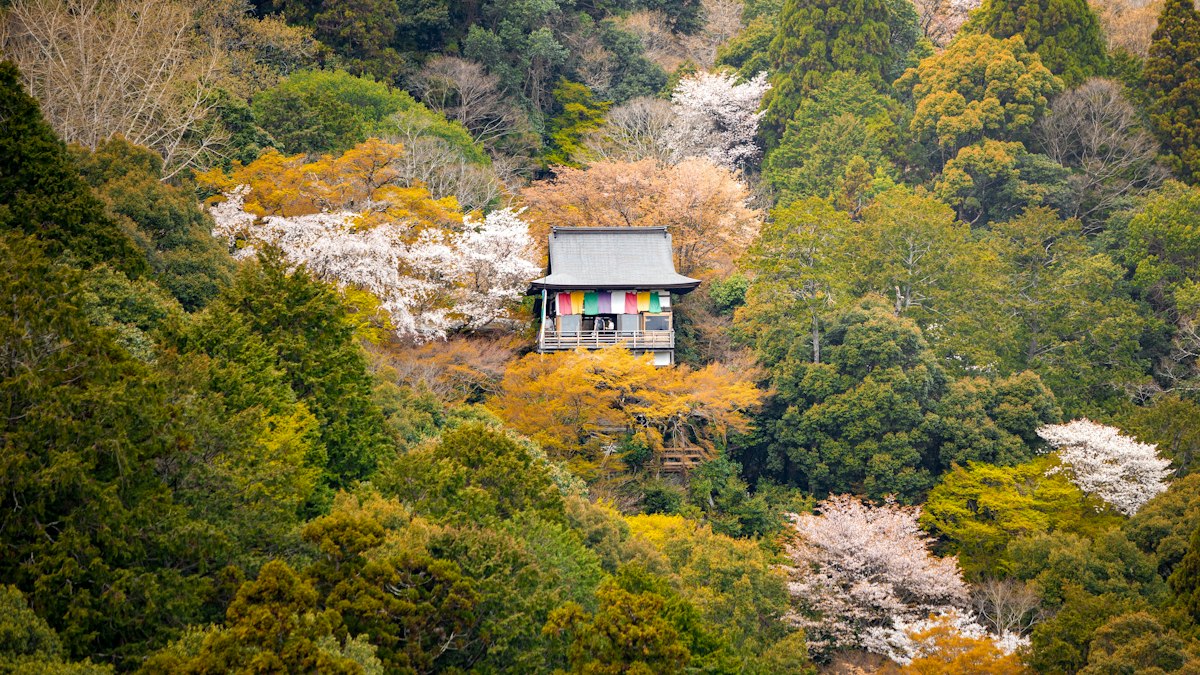 花の咲く木と色づいた木々に囲まれた山中の小さなお堂