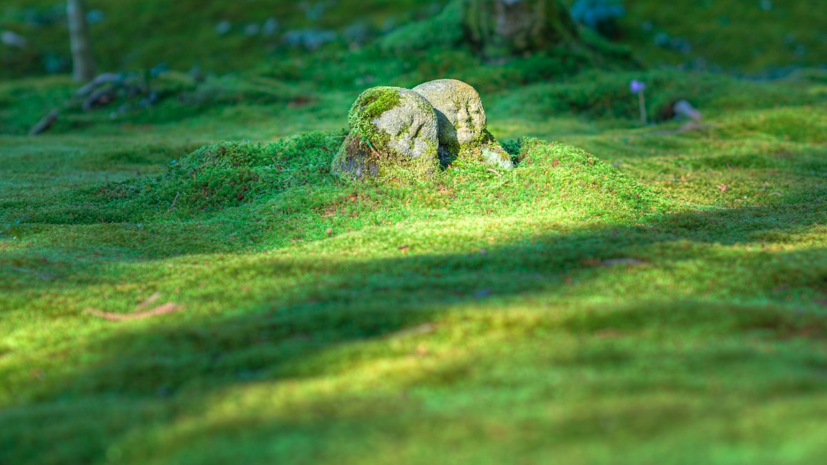 苔むした庭に佇む二体の石仏