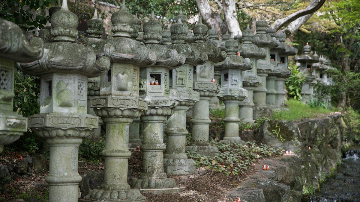 苔むした庭に並ぶ石灯籠