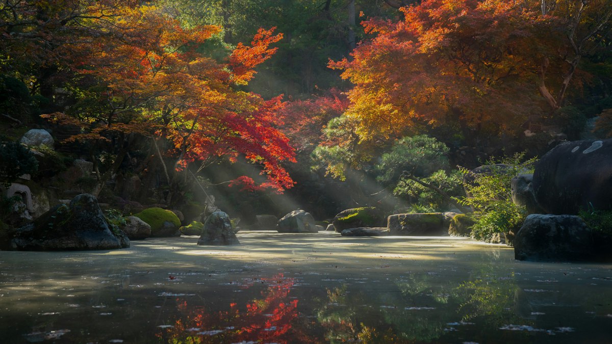紅葉に囲まれた日本庭園の池